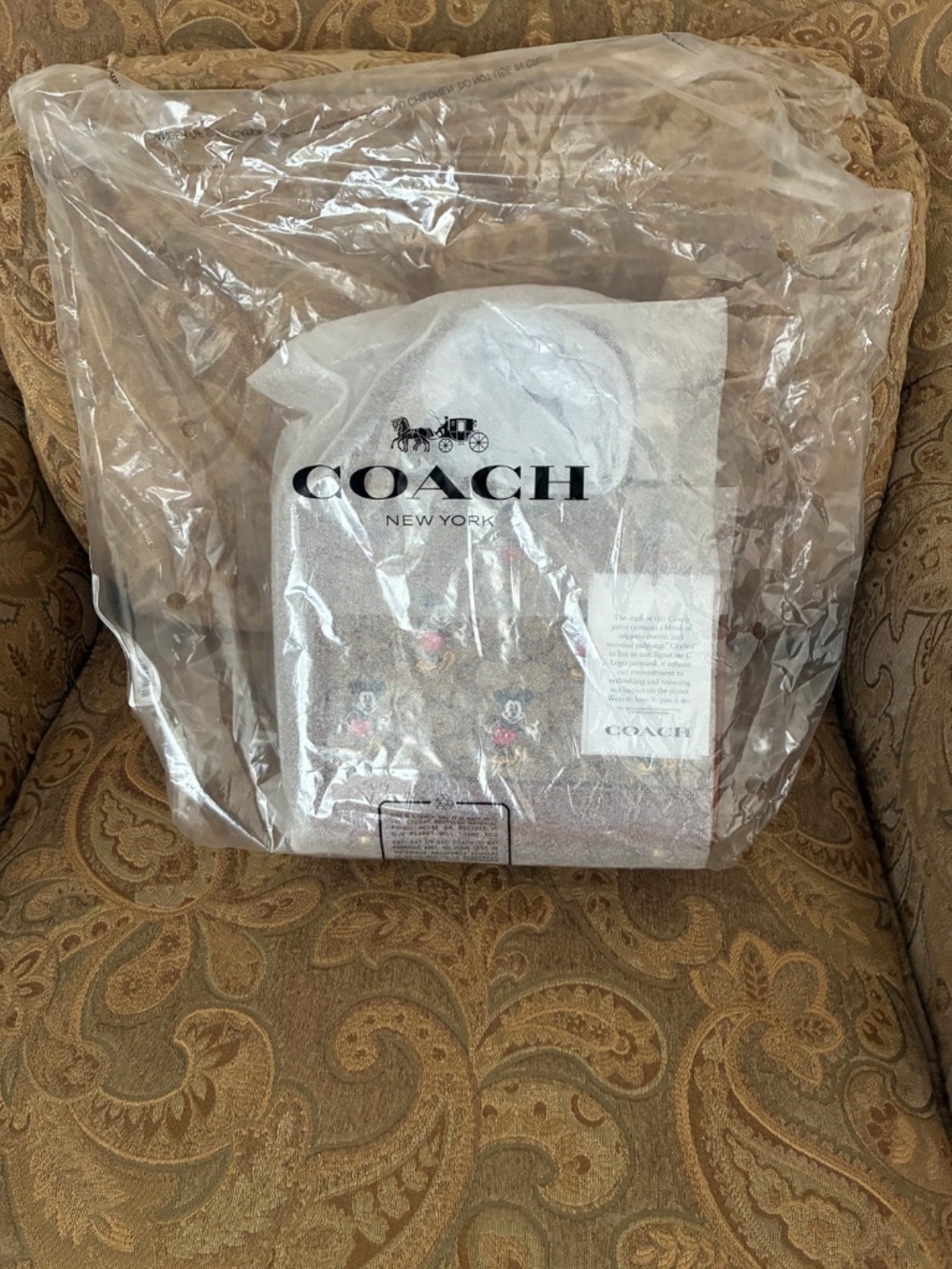 New Mickey Mouse coach Dempsey 22 - Picture 3 of 9